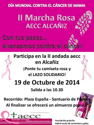 Día Mundial Contra el Cáncer de Mama 2014 en Teruel