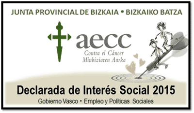Certificación Social 2015 para la Junta Provincial de Bizkaia