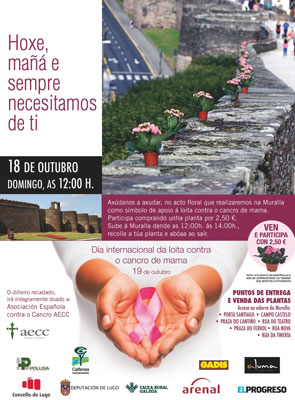 Dia Contra el Cáncer de mama 2015 Lugo 