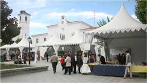 La aecc en el mercadillo de Villanueva de la Cañada 