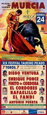 XIX Festival Taurino Picado